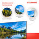 Телевизор LED Starwind 43 Телевизор LED Starwind 43