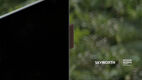 Телевизор OLED Skyworth 65 Телевизор OLED Skyworth 65