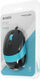 Мышь A4Tech Fstyler FM10 черный/синий оптическая 1600dpi USB 4but (FM10 BLUE) Мышь A4Tech Fstyler FM10 черный/синий оптическая 1600dpi USB 4but (FM10 BLUE)