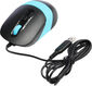 Мышь A4Tech Fstyler FM10 черный/синий оптическая 1600dpi USB 4but (FM10 BLUE) Мышь A4Tech Fstyler FM10 черный/синий оптическая 1600dpi USB 4but (FM10 BLUE)