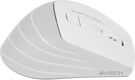 Мышь A4Tech Fstyler FG30S белый/серый оптическая 2000dpi silent беспров. USB 6but (FG30S WHITE) Мышь A4Tech Fstyler FG30S белый/серый оптическая 2000dpi silent беспров. USB 6but (FG30S WHITE)