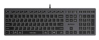 Клавиатура A4Tech Fstyler FX60 серый USB slim LED (FX60 GREY / WHITE) Клавиатура A4Tech Fstyler FX60 серый USB slim LED (FX60 GREY / WHITE)
