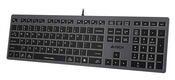 Клавиатура A4Tech Fstyler FX60 серый USB slim LED (FX60 GREY / WHITE) Клавиатура A4Tech Fstyler FX60 серый USB slim LED (FX60 GREY / WHITE)