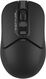 Мышь A4Tech Fstyler FB12S черный оптическая 1200dpi silent беспров. BT/Radio USB 2but (FB12S USB BLACK)