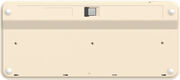 Клавиатура A4Tech Fstyler FBK36C AS бежевый USB беспроводная BT/Radio slim Multimedia (FBK36C AS) Клавиатура A4Tech Fstyler FBK36C AS бежевый USB беспроводная BT/Radio slim Multimedia (FBK36C AS)