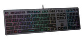 Клавиатура A4Tech Fstyler FX60 серый USB slim LED (FX60 GREY / NEON) Клавиатура A4Tech Fstyler FX60 серый USB slim LED (FX60 GREY / NEON)