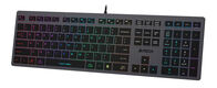 Клавиатура A4Tech Fstyler FX60 серый USB slim LED (FX60 GREY / NEON) Клавиатура A4Tech Fstyler FX60 серый USB slim LED (FX60 GREY / NEON)