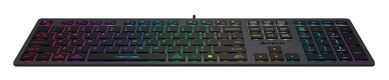 Клавиатура A4Tech Fstyler FX60 серый USB slim LED (FX60 GREY / NEON) Клавиатура A4Tech Fstyler FX60 серый USB slim LED (FX60 GREY / NEON)