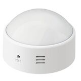 RUBETEK PRO RS-3205 Датчик движения&nbsp;<img style='position: relative;margin:0' src='/image/only_to_order_edit.gif' alt='На заказ' title='На заказ' />