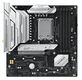 MAXSUN MS-Terminator B860M WIFI