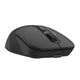 Мышь беспроводная A4Tech Fstyler FB10CS black (оптическая, silent, BT/Radio, USB, 4but, 2000dpi)(FB10CS USB STONE BLACK