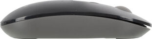 Мышь A4Tech Fstyler FG20 серый оптическая 2000dpi беспров. USB для ноутбука 4but (FG20 GREY) Мышь A4Tech Fstyler FG20 серый оптическая 2000dpi беспров. USB для ноутбука 4but (FG20 GREY)