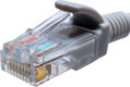 Патч-корд Suprlan 10-0141 UTP RJ-45 вил.-вилка RJ-45 кат.5E 0.5м серый LSZH 26AWG Патч-корд Suprlan 10-0141 UTP RJ-45 вил.-вилка RJ-45 кат.5E 0.5м серый LSZH 26AWG