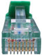 Патч-корд Suprlan 10-0156 UTP RJ-45 вил.-вилка RJ-45 кат.5E 0.5м зеленый LSZH 26AWG Патч-корд Suprlan 10-0156 UTP RJ-45 вил.-вилка RJ-45 кат.5E 0.5м зеленый LSZH 26AWG