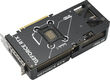 Видеокарта Asus PCI-E 5.0 DUAL-RTX5070-O12G NVIDIA GeForce RTX 5070 12Gb 192bit GDDR7 2542/28000 HDMIx2 DPx3 HDCP Ret