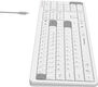 Клавиатура A4Tech Fstyler FBX55C белый USB беспроводная BT/Radio slim Multimedia (FBX55C)