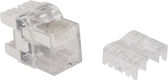 LANMASTER
Модуль Keystone LANMASTER
Модуль Keystone