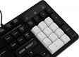 Клавиатура Defender Dark Knight GK-077 белый/черный USB Multimedia for gamer LED (45078) Клавиатура Defender Dark Knight GK-077 белый/черный USB Multimedia for gamer LED (45078)