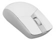 ASUS ROG STRIX IMPACT III WIRELESS ASUS ROG STRIX IMPACT III WIRELESS