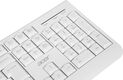 Клавиатура + мышь Acer OCC401 клав:белый мышь:белый USB беспроводная (ZL.ACCCC.017) Клавиатура + мышь Acer OCC401 клав:белый мышь:белый USB беспроводная (ZL.ACCCC.017)