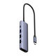Netac Hub WF13