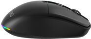 Мышь Acer Nitro OMR400 черный оптическая 3200dpi silent беспров. BT/Radio USB 6but (ZL.MCECC.05B) Мышь Acer Nitro OMR400 черный оптическая 3200dpi silent беспров. BT/Radio USB 6but (ZL.MCECC.05B)