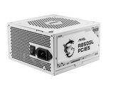 MSI 306-7ZP8A24-CE0