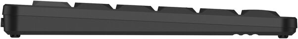Клавиатура A4Tech Fstyler FBX53C черный USB беспроводная BT/Radio slim Multimedia (FBX53C) Клавиатура A4Tech Fstyler FBX53C черный USB беспроводная BT/Radio slim Multimedia (FBX53C)