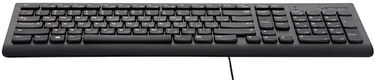 Клавиатура Lenovo 300 черный USB для ноутбука