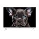 Topdevice 24 Topdevice 24
