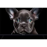 Topdevice 32" TDTV32CS08F_BK/ FHD/ VA/ Smart SBER/ 1-8 Гб/ BT/ 60Гц/ черный&nbsp;<img style='position: relative;margin:0' src='/image/only_to_order_edit.gif' alt='На заказ' title='На заказ' />