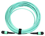 Каб.сборка Lanmaster LAN-12M-12M/ OM3B-5.0 12x50/ 125 OM3 MPO-MPO полярность B 5м LSZH аквамарин LAN-12M-12M/OM3B-5.0&nbsp;<img style='position: relative;margin:0' src='/image/only_to_order_edit.gif' alt='На заказ' title='На заказ' />