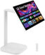 Монитор LG 31.5