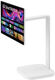 Монитор LG 31.5