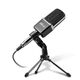 RITMIX RDM-123 Black {Подключение XLR - jack 3,5 мм