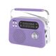 RITMIX RPR-045 LAVENDER {Радиоприёмник портатив. 3хдиапазонный FM/AM/SW RITMIX RPR-045 LAVENDER {Радиоприёмник портатив. 3хдиапазонный FM/AM/SW