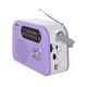 RITMIX RPR-045 LAVENDER {Радиоприёмник портатив. 3хдиапазонный FM/AM/SW RITMIX RPR-045 LAVENDER {Радиоприёмник портатив. 3хдиапазонный FM/AM/SW