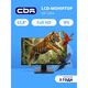 CBR LCD Монитор 23.8 CBR LCD Монитор 23.8