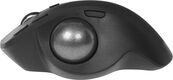 Трекбол Logitech Trackball MX Ergo S графитовый оптическая 2048dpi беспров. BT/Radio USB 8but (910-007263)