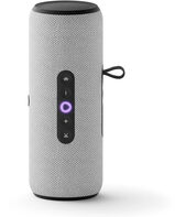 Умная колонка Yandex Стрит Алиса серый 30W 2.0 BT/ Wi-Fi 10м 3300mAh (YNDX-00030GRY)