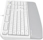 Клавиатура A4Tech Fstyler FK20 белый USB Multimedia (FK20)