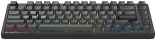 Клавиатура A4Tech Bloody MS76 темно-серый USB Multimedia for gamer LED (MS76) Клавиатура A4Tech Bloody MS76 темно-серый USB Multimedia for gamer LED (MS76)
