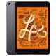 Apple iPad mini 7.9-inch (5th Gen) Wi-Fi + Cellular 256Gb Space Grey (MUXC2HN/A) Apple iPad mini 7.9-inch (5th Gen) Wi-Fi + Cellular 256Gb Space Grey (MUXC2HN/A)