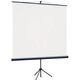 Lumien Eco View LEV-100115 Экран на штативе 130x227 см (раб.область 124х221 см) (100 Lumien Eco View LEV-100115 Экран на штативе 130x227 см (раб.область 124х221 см) (100