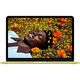 Apple MacBook Neo 13-inch 2026 [MHFD4LL/A] (КЛАВ.РУС.ГРАВ.) Citrus 13.0'' Liquid Retina {(2408x1506) 500nits A18 6C CPU 5C GPU/8GB/256GB SSD/без переходника 11028658/11134081/1979059/11007065}