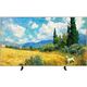TCL 43 TCL 43
