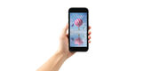 Bluebird S10 Комплект: Android 14 Bluebird S10 Комплект: Android 14