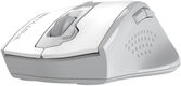 Мышь A4Tech Fstyler FG55S Plus белый оптическая 3200dpi беспров. USB 7but