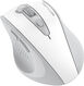 Мышь A4Tech Fstyler FG55S Plus белый оптическая 3200dpi беспров. USB 7but