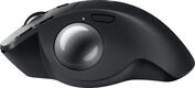 Трекбол Logitech Trackball MX Ergo S графитовый оптическая 2048dpi silent беспров. BT/Radio USB 8but (910-007261) Трекбол Logitech Trackball MX Ergo S графитовый оптическая 2048dpi silent беспров. BT/Radio USB 8but (910-007261)